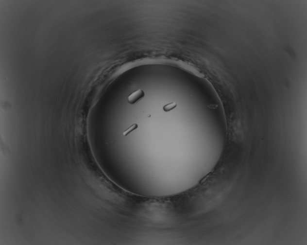 X0000090990756200708021522