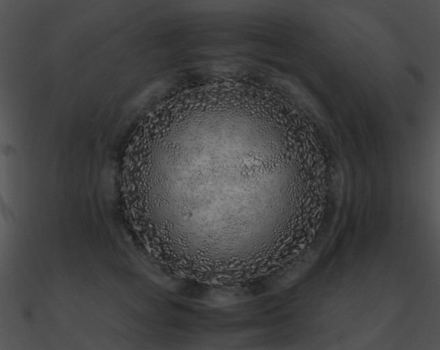 X0000090990757200708021522