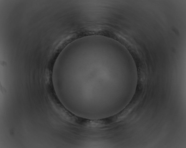X0000090990758200708021522