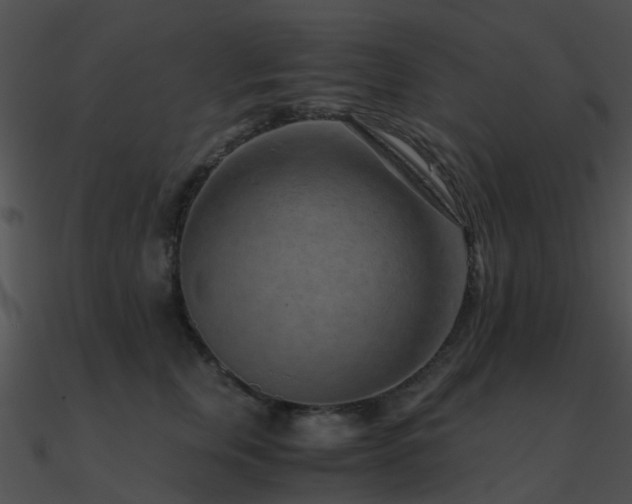 X0000090990759200708021522
