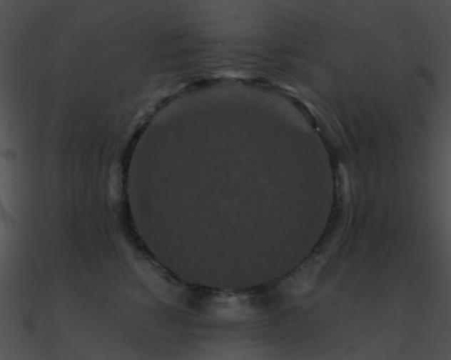 X0000090990760200708021522
