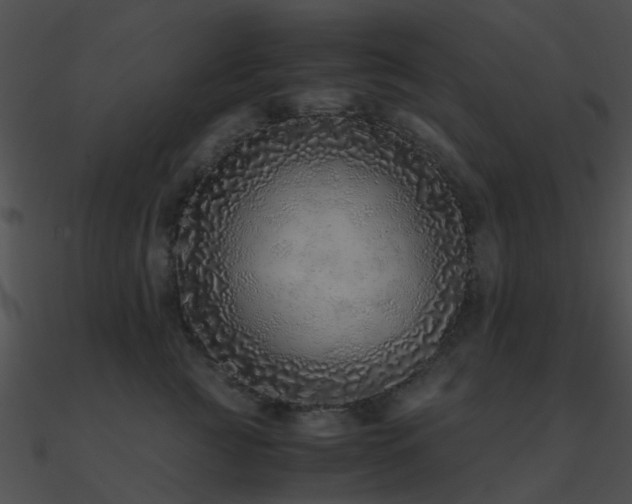 X0000090990761200708021522