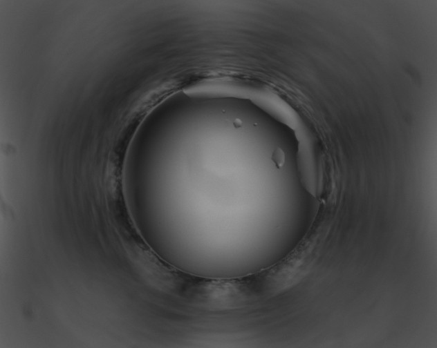 X0000090990762200708021522