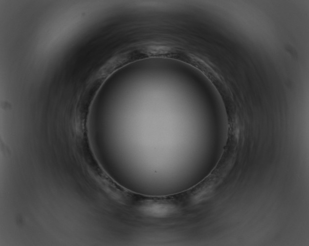 X0000090990763200708021522