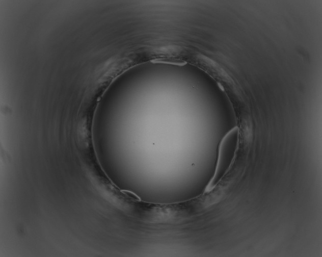X0000090990764200708021522