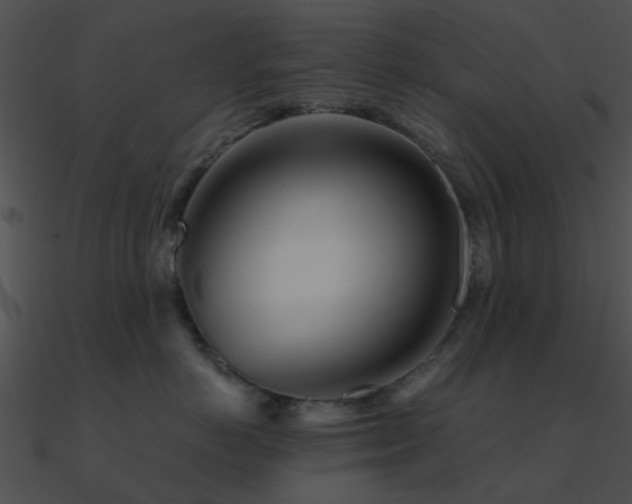 X0000090990766200708021522