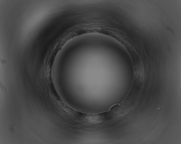 X0000090990767200708021522