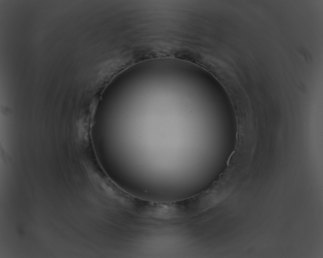 X0000090990768200708021522
