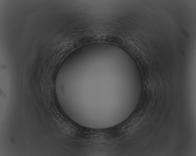 X0000090990769200708021521