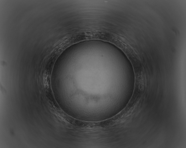 X0000090990770200708021521