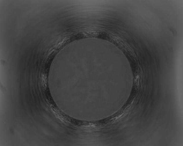 X0000090990772200708021521