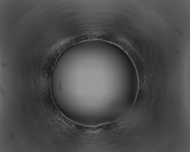 X0000090990773200708021521