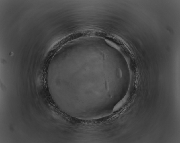 X0000090990775200708021521