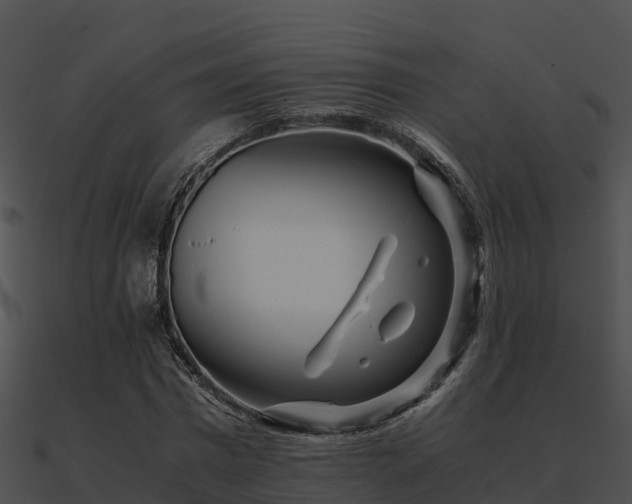 X0000090990777200708021521