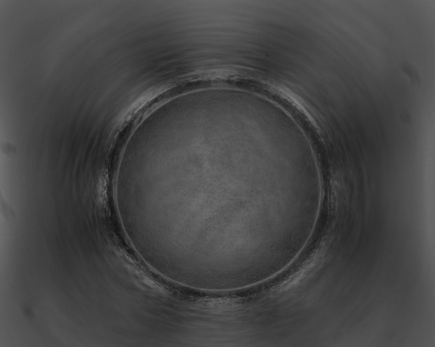 X0000090990778200708021521