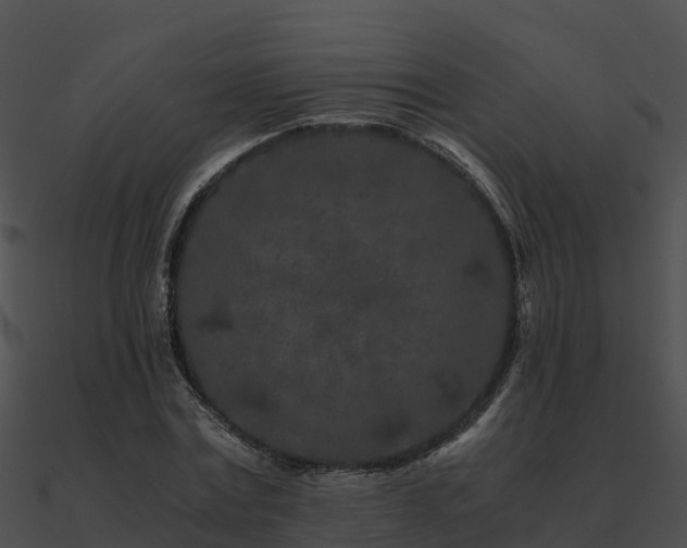 X0000090990779200708021521