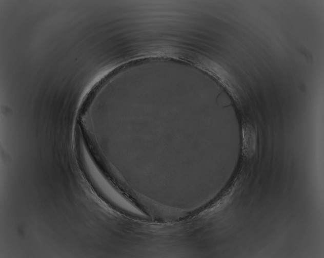 X0000090990780200708021521