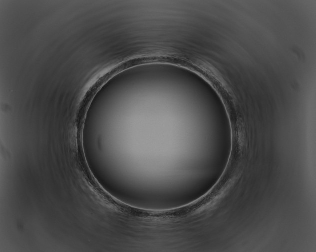X0000090990781200708021521