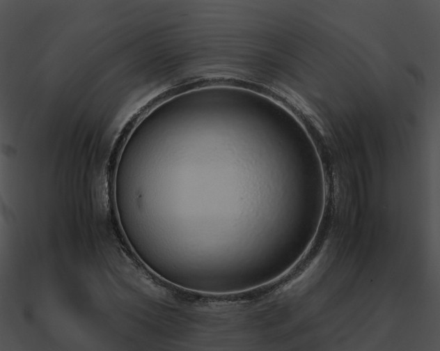 X0000090990782200708021521