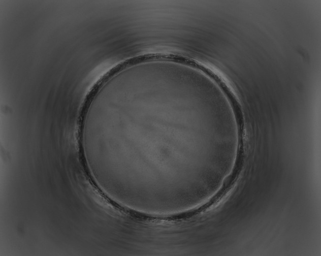 X0000090990783200708021521