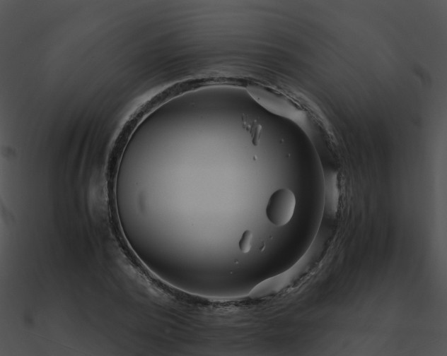 X0000090990784200708021521