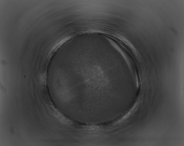 X0000090990785200708021521