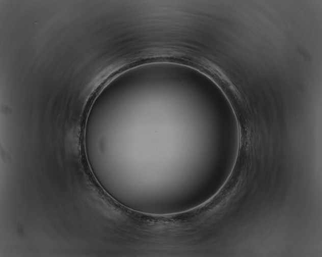X0000090990786200708021521