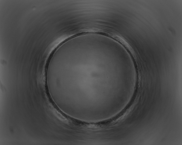 X0000090990787200708021521