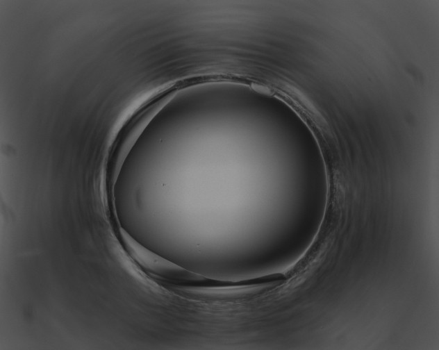 X0000090990788200708021521