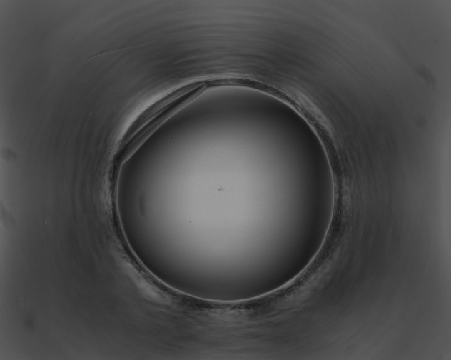 X0000090990789200708021521