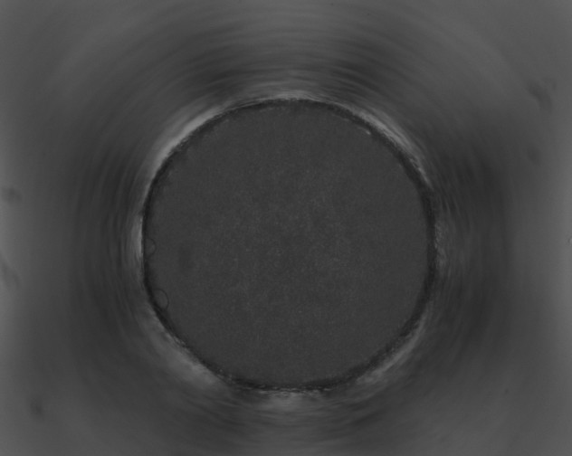 X0000090990790200708021521