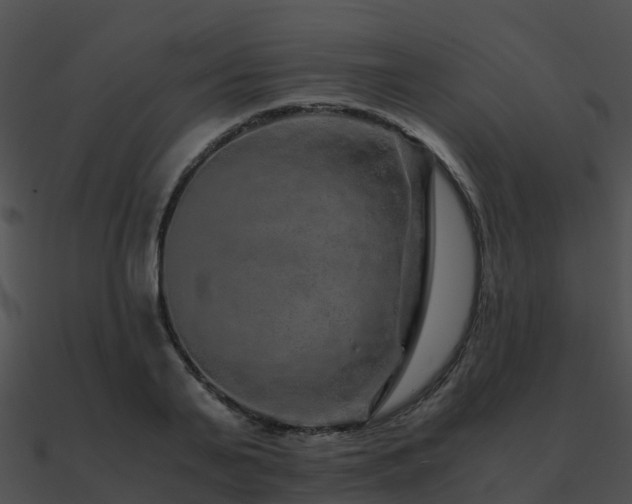 X0000090990791200708021521