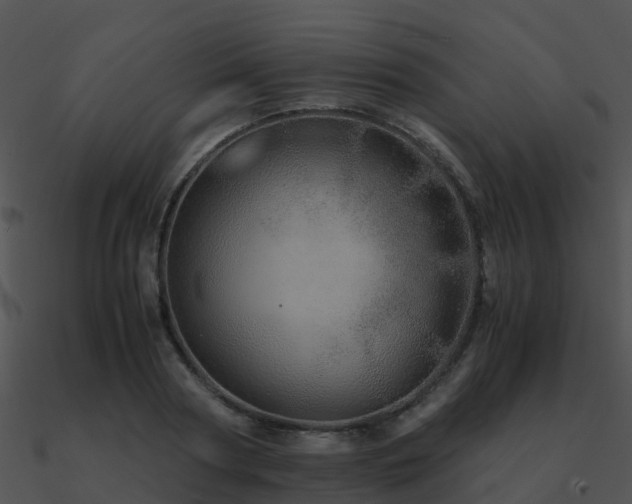 X0000090990794200708021521