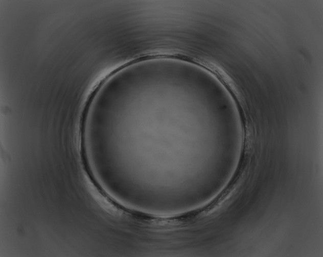 X0000090990795200708021521