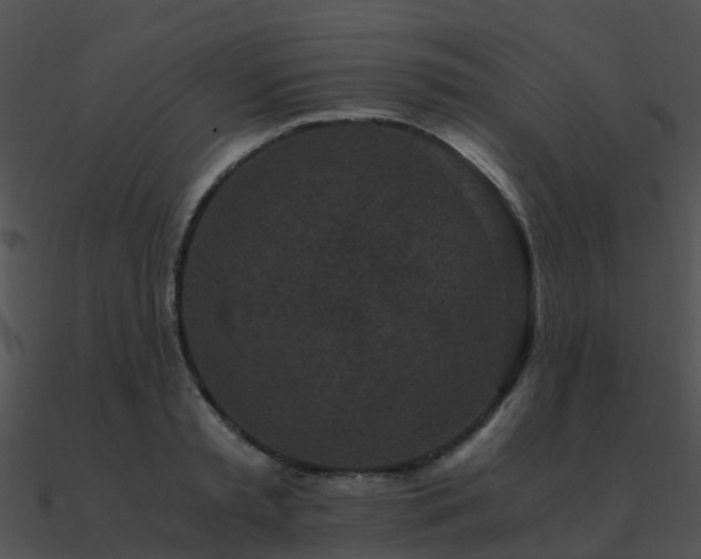 X0000090990797200708021521