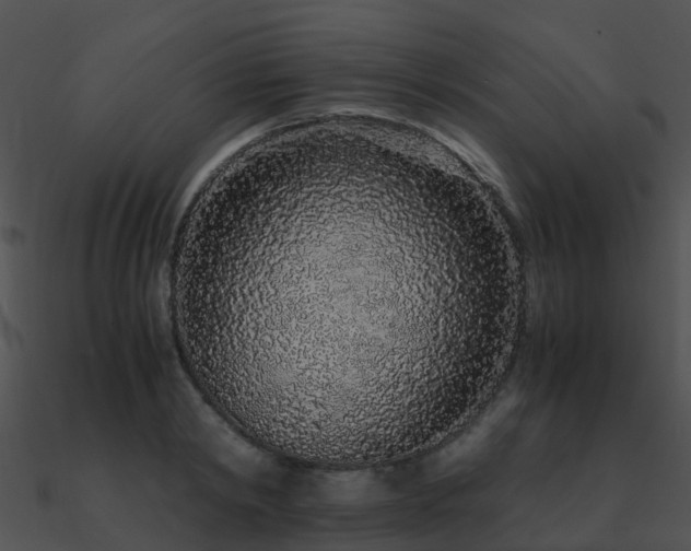 X0000090990798200708021521