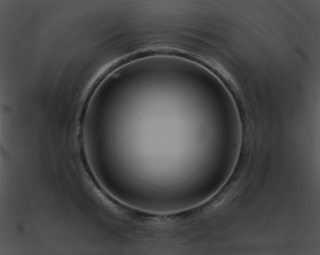 X0000090990799200708021520