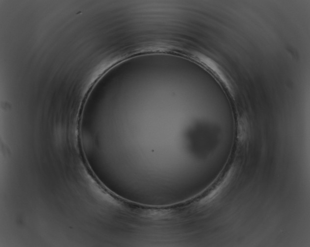 X0000090990802200708021520