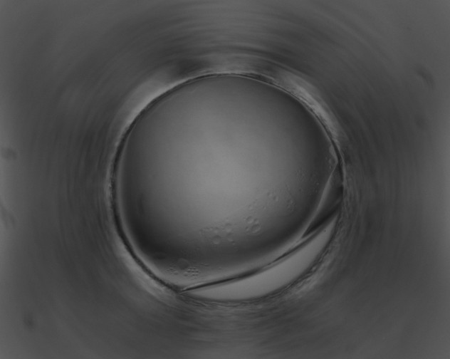 X0000090990803200708021520