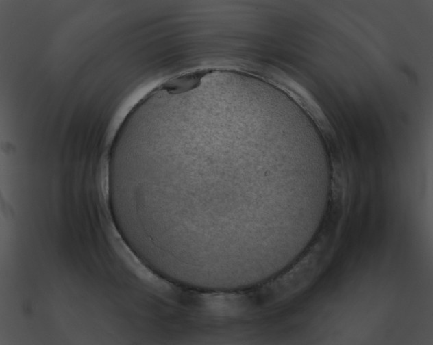 X0000090990804200708021520