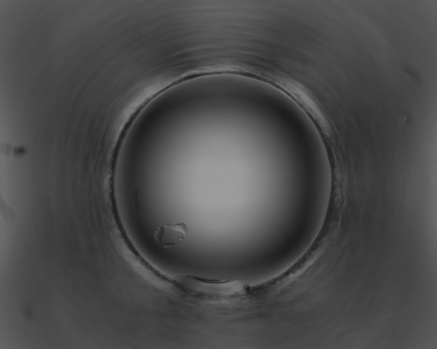 X0000090990805200708021520