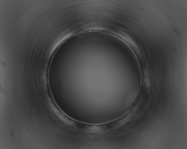 X0000090990806200708021520