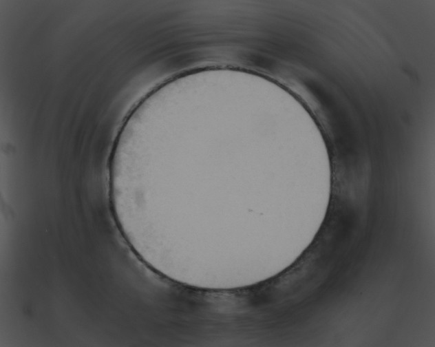 X0000090990807200708021520