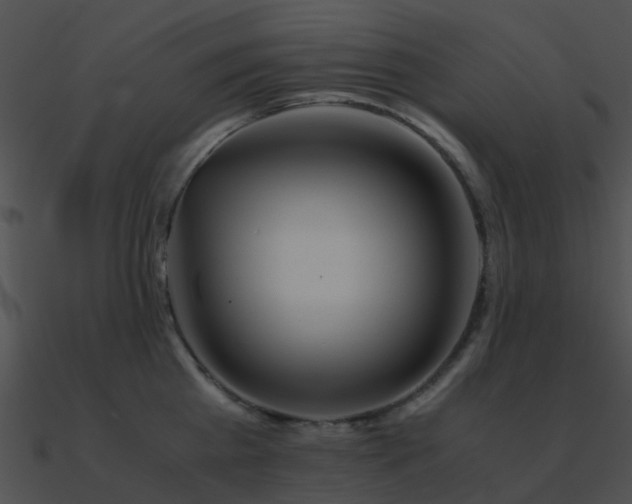 X0000090990809200708021520