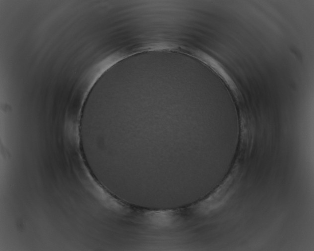X0000090990810200708021520