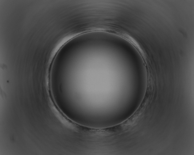 X0000090990811200708021520