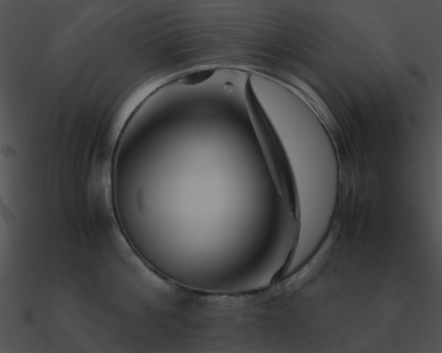 X0000090990812200708021520