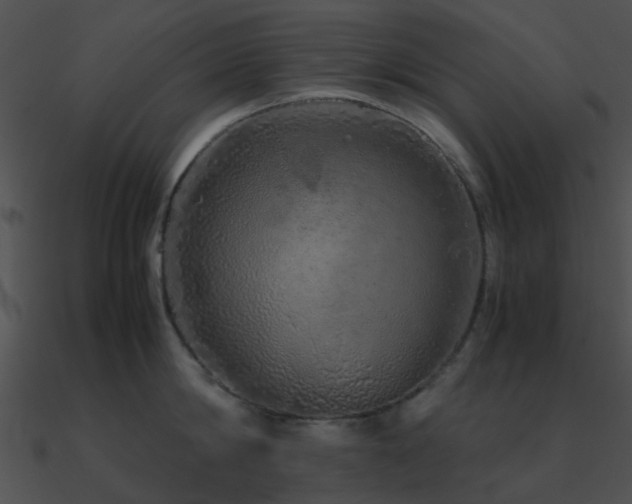 X0000090990814200708021520