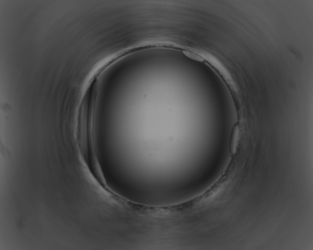 X0000090990815200708021520