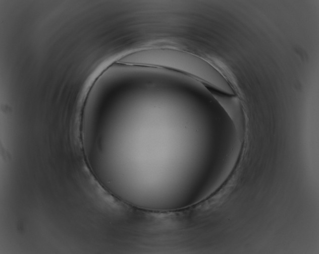 X0000090990816200708021520